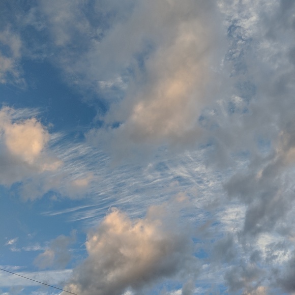 Meet your Posher, Josianne - Picture 1 of 1